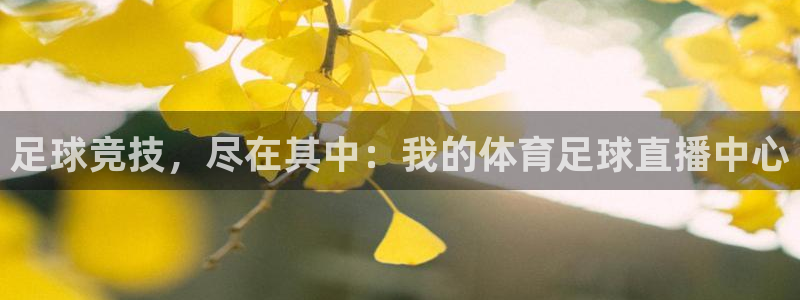 足球竞技，尽在其中：我的体育足球直播中心