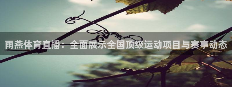 雨燕体育直播：全面展示全国顶级运动项目与赛事动态