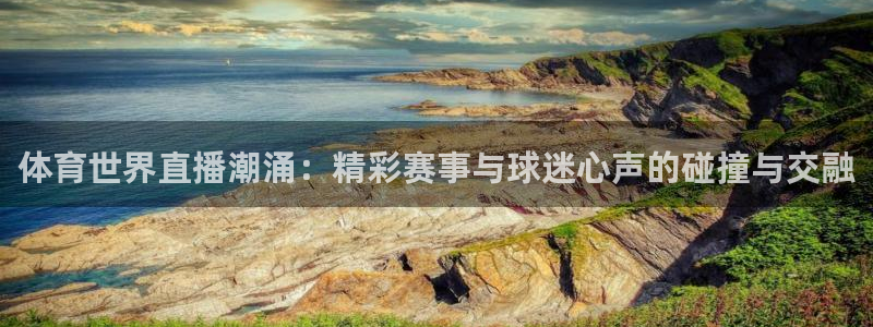 体育世界直播潮涌：精彩赛事与球迷心声的碰撞与交融