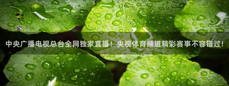中央广播电视总台全网独家直播！央视体育频道精彩赛事不容错过!