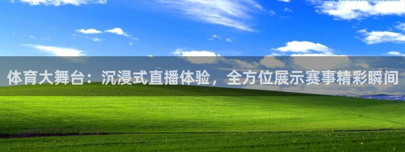 体育大舞台：沉浸式直播体验，全方位展示赛事精彩瞬间