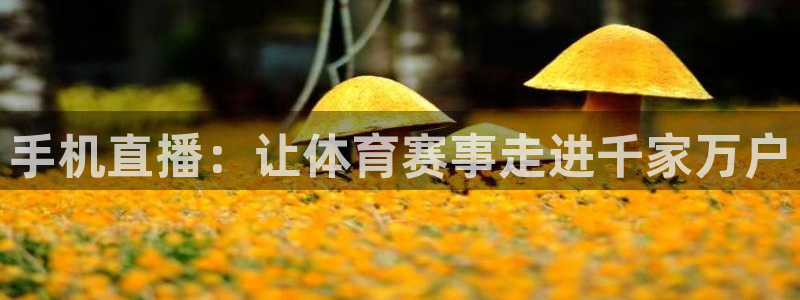 手机直播：让体育赛事走进千家万户