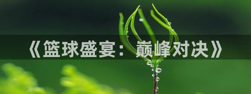 《篮球盛宴：巅峰对决》