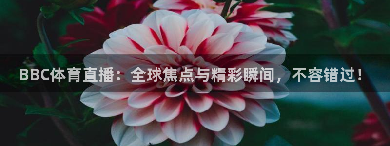 BBC体育直播：全球焦点与精彩瞬间，不容错过！