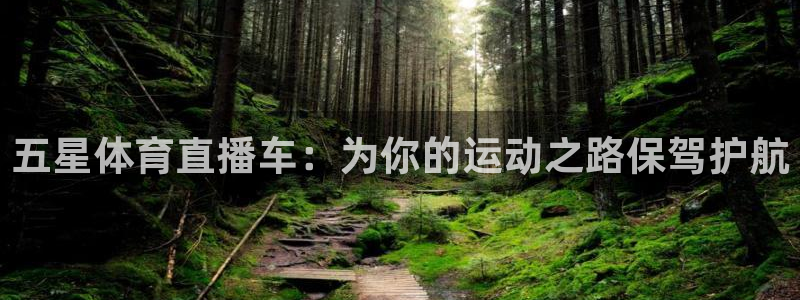 五星体育直播车：为你的运动之路保驾护航