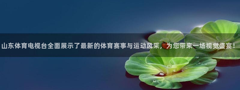 山东体育电视台全面展示了最新的体育赛事与运动风采，为您带来一场视觉盛宴！