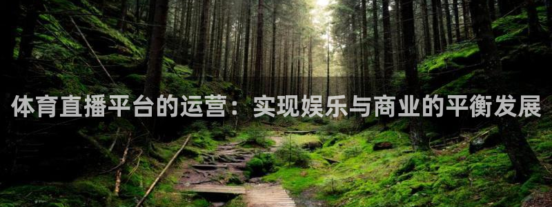 体育直播平台的运营：实现娱乐与商业的平衡发展