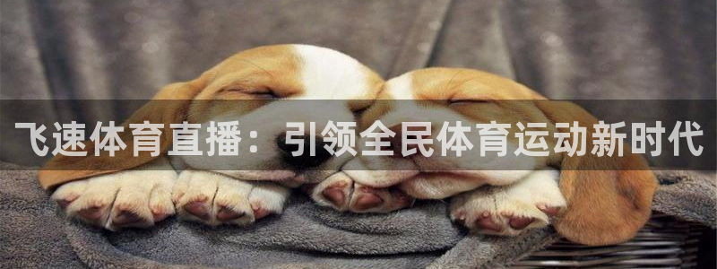 飞速体育直播：引领全民体育运动新时代