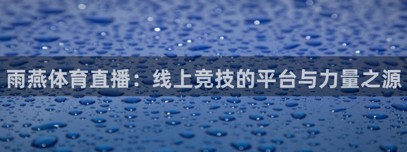 雨燕体育直播：线上竞技的平台与力量之源