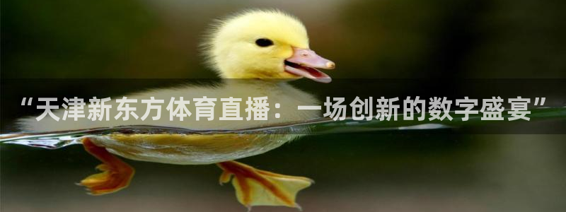 “天津新东方体育直播：一场创新的数字盛宴”