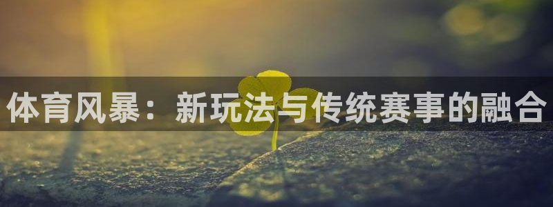 体育风暴：新玩法与传统赛事的融合