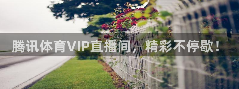腾讯体育VIP直播间，精彩不停歇！