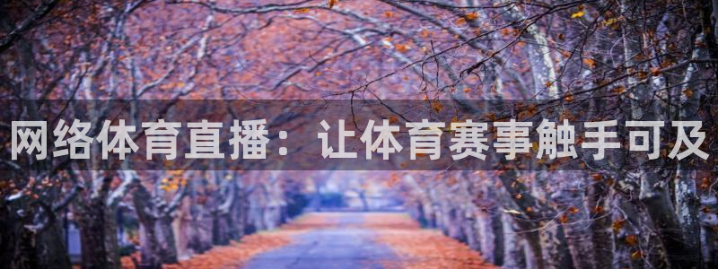网络体育直播：让体育赛事触手可及