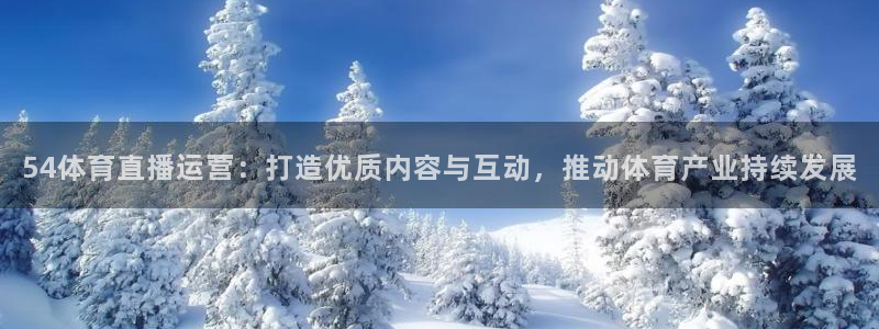 54体育直播运营：打造优质内容与互动，推动体育产业持续发展