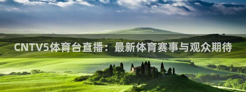 CNTV5体育台直播：最新体育赛事与观众期待